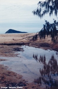 Beach near Gloucester Passage