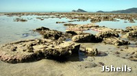 Reef flat at Hydeaway Bay Reef flat at Hydeaway Bay