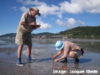 Monitoring seagrass in Pioneer Bay