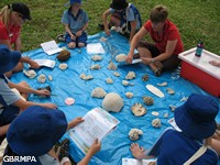 Learning about the Reef