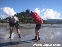 Seagrass Watch volunteers monitoring the health of Pioneer Bay seagrass Seagrass Watch volunteers monitoring the health of Pioneer Bay seagrass