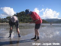 Seagrass Watch volunteers monitoring the health of Pioneer Bay seagrass