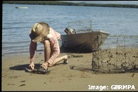 Seagrass habitat is home to mudcrabs