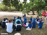 Learning about Mangroves