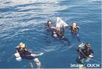 Marker Buoys Volunteers